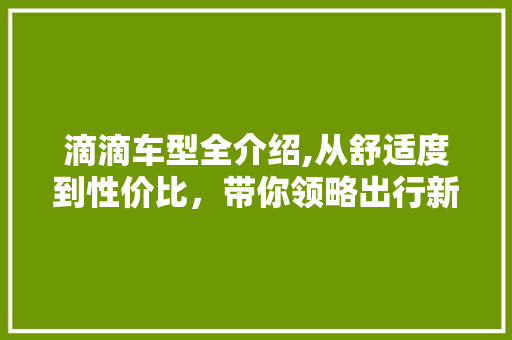 滴滴车型全介绍,从舒适度到性价比，带你领略出行新选择