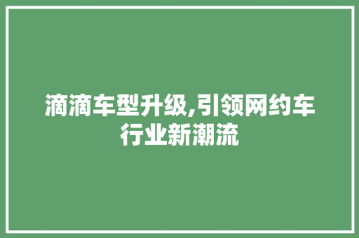 滴滴车型升级,引领网约车行业新潮流