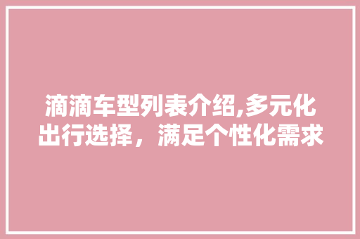 滴滴车型列表介绍,多元化出行选择，满足个性化需求