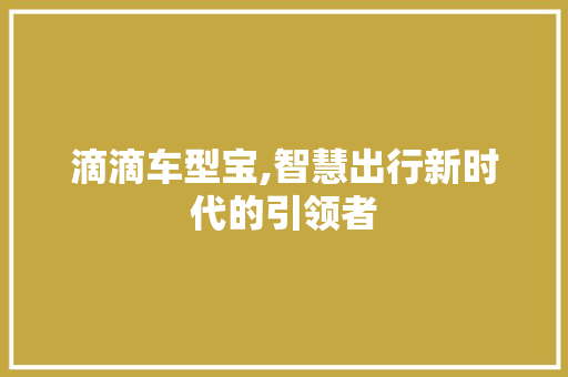 滴滴车型宝,智慧出行新时代的引领者