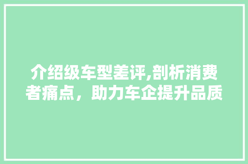 介绍级车型差评,剖析消费者痛点，助力车企提升品质