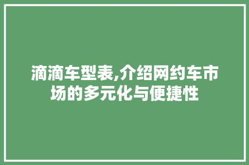 滴滴车型表,介绍网约车市场的多元化与便捷性