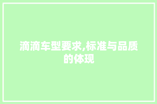 滴滴车型要求,标准与品质的体现