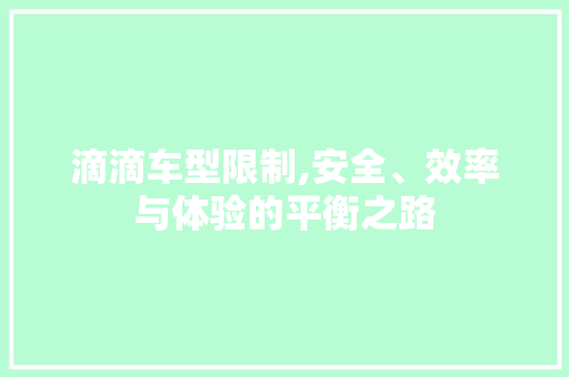 滴滴车型限制,安全、效率与体验的平衡之路