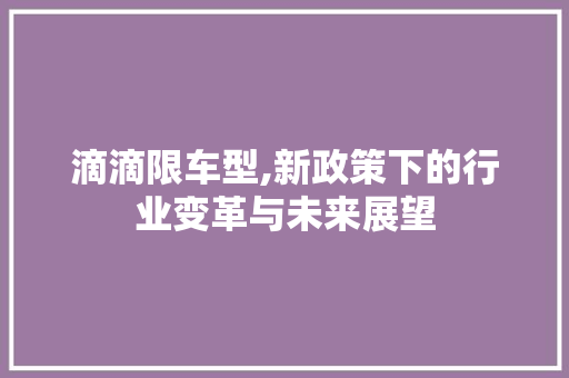 滴滴限车型,新政策下的行业变革与未来展望