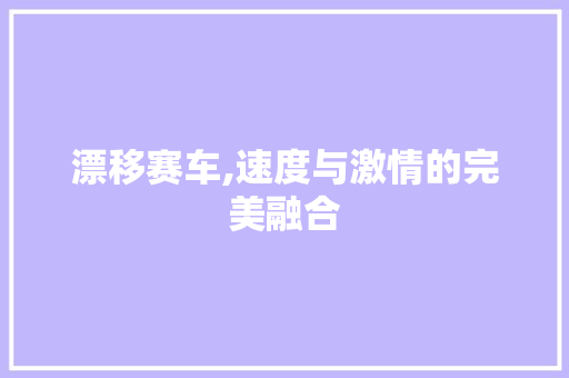 漂移赛车,速度与激情的完美融合