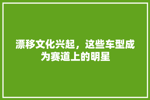 漂移文化兴起，这些车型成为赛道上的明星