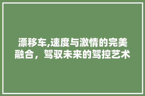 漂移车,速度与激情的完美融合，驾驭未来的驾控艺术