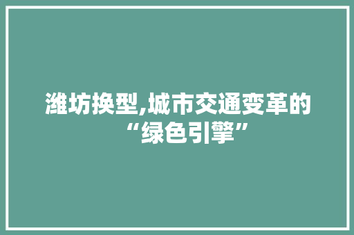 潍坊换型,城市交通变革的“绿色引擎”