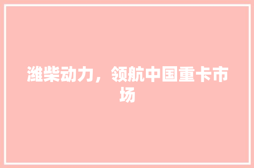 潍柴动力，领航中国重卡市场