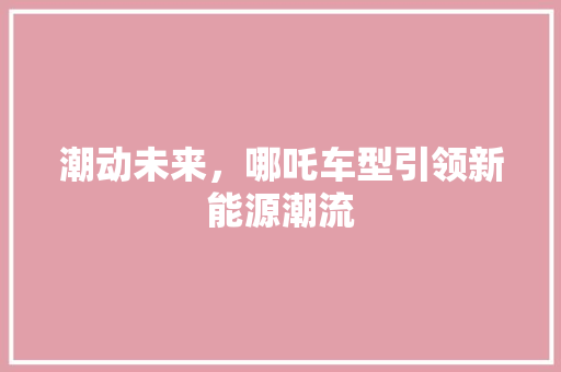 潮动未来，哪吒车型引领新能源潮流