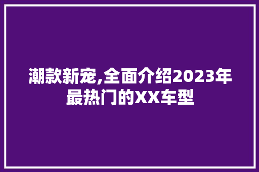 潮款新宠,全面介绍2023年最热门的XX车型
