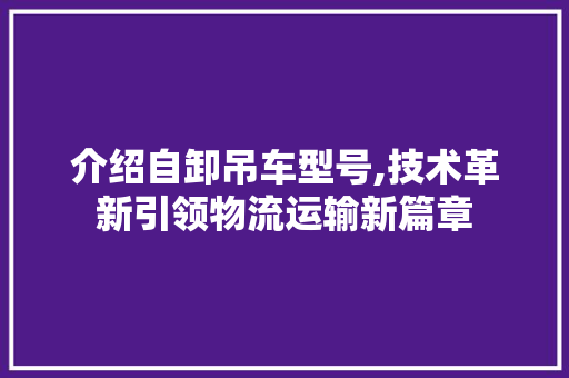 介绍自卸吊车型号,技术革新引领物流运输新篇章