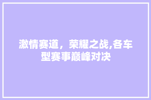 激情赛道，荣耀之战,各车型赛事巅峰对决