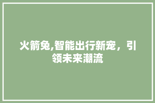 火箭兔,智能出行新宠，引领未来潮流
