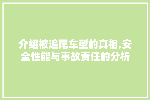 介绍被追尾车型的真相,安全性能与事故责任的分析 新能源汽车