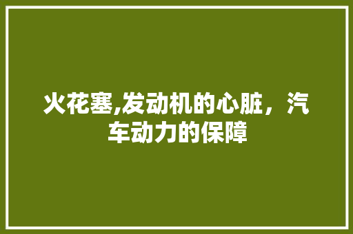 火花塞,发动机的心脏，汽车动力的保障