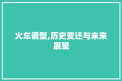 火车调型,历史变迁与未来展望