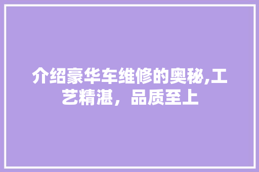 介绍豪华车维修的奥秘,工艺精湛，品质至上