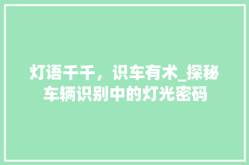 灯语千千，识车有术_探秘车辆识别中的灯光密码