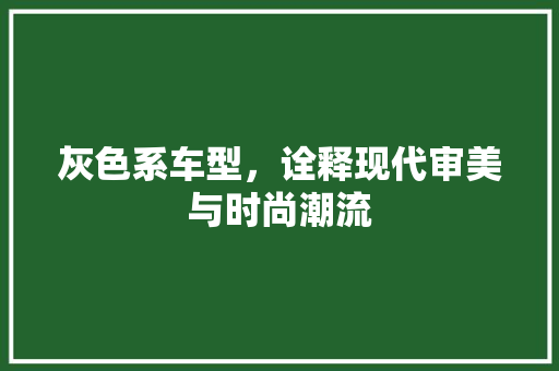 灰色系车型，诠释现代审美与时尚潮流 车身配件