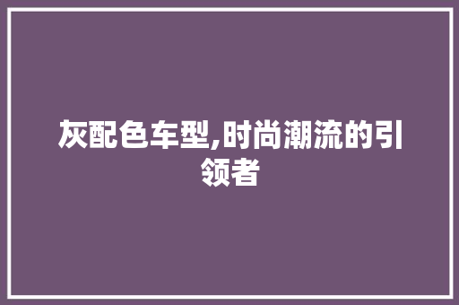 灰配色车型,时尚潮流的引领者