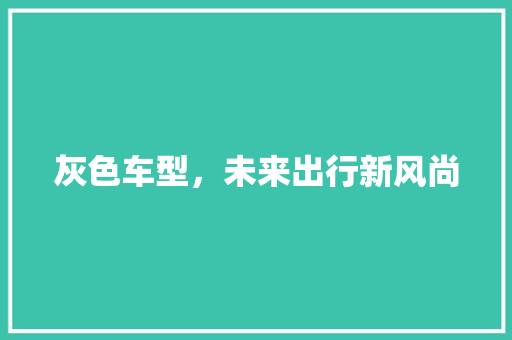 灰色车型，未来出行新风尚 新能源汽车