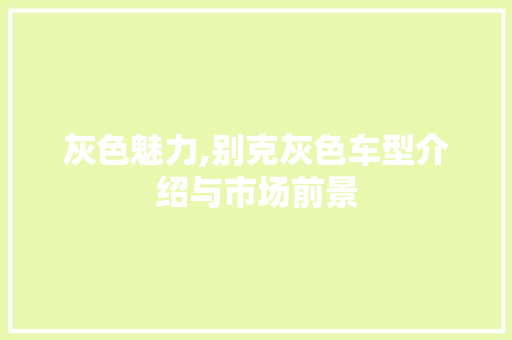 灰色魅力,别克灰色车型介绍与市场前景
