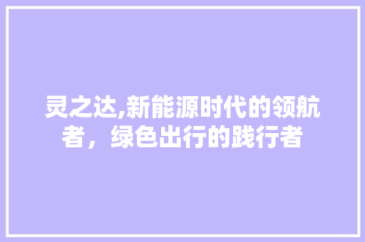 灵之达,新能源时代的领航者，绿色出行的践行者