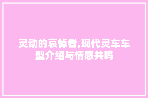 灵动的哀悼者,现代灵车车型介绍与情感共鸣
