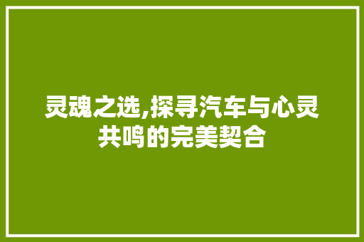 灵魂之选,探寻汽车与心灵共鸣的完美契合