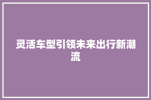灵活车型引领未来出行新潮流