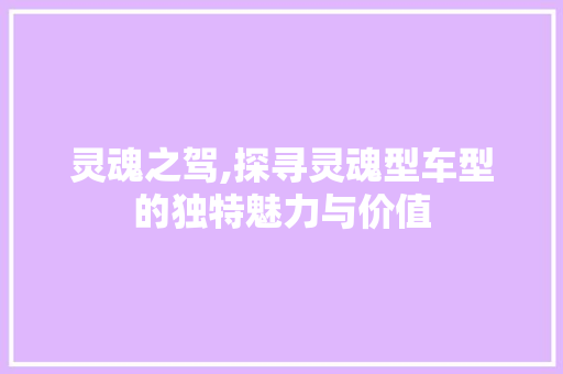灵魂之驾,探寻灵魂型车型的独特魅力与价值