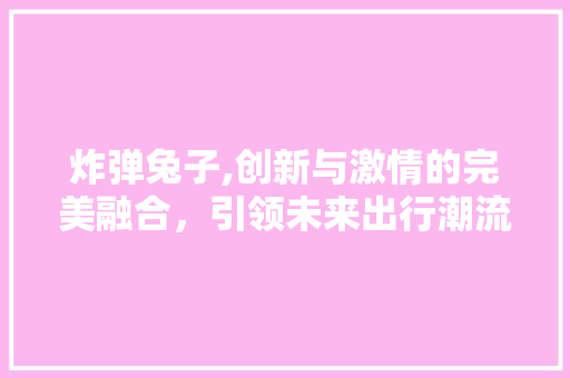 炸弹兔子,创新与激情的完美融合，引领未来出行潮流