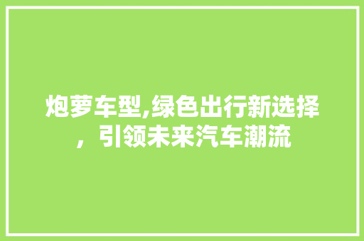炮萝车型,绿色出行新选择，引领未来汽车潮流
