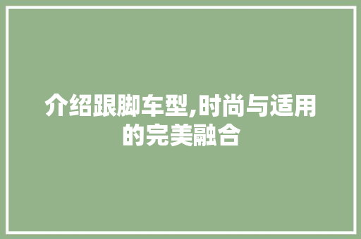 介绍跟脚车型,时尚与适用的完美融合