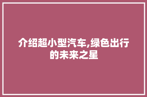 介绍超小型汽车,绿色出行的未来之星