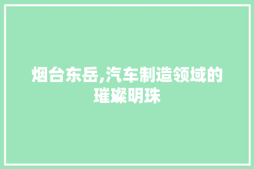 烟台东岳,汽车制造领域的璀璨明珠 底盘配件