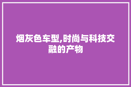 烟灰色车型,时尚与科技交融的产物