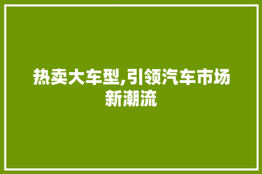 热卖大车型,引领汽车市场新潮流 车身配件