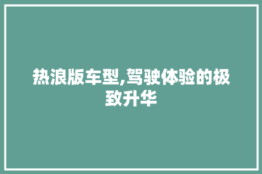 热浪版车型,驾驶体验的极致升华