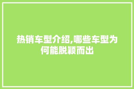 热销车型介绍,哪些车型为何能脱颖而出