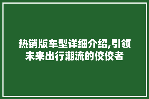 热销版车型详细介绍,引领未来出行潮流的佼佼者