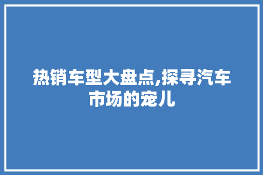 热销车型大盘点,探寻汽车市场的宠儿