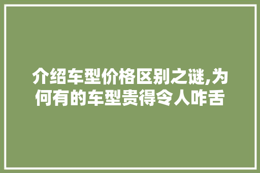 介绍车型价格区别之谜,为何有的车型贵得令人咋舌