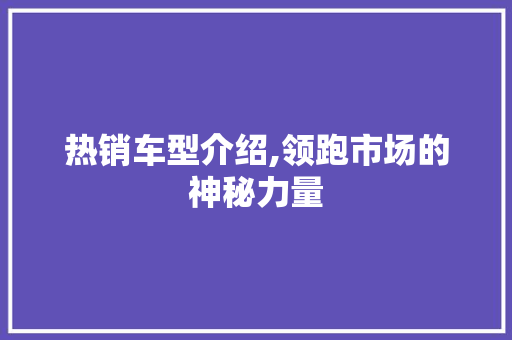 热销车型介绍,领跑市场的神秘力量