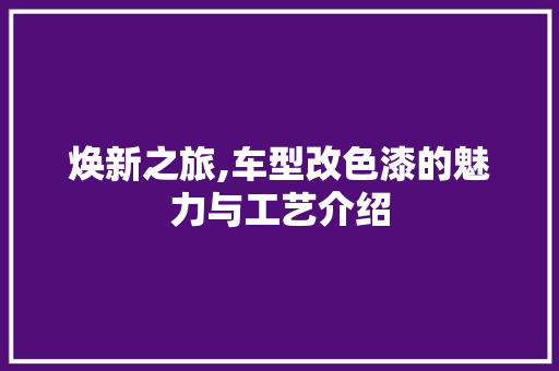 焕新之旅,车型改色漆的魅力与工艺介绍