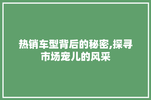 热销车型背后的秘密,探寻市场宠儿的风采