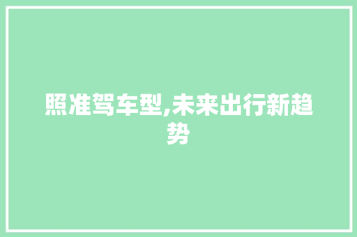 照准驾车型,未来出行新趋势