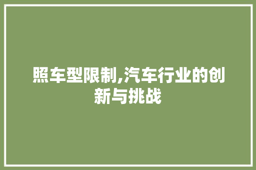 照车型限制,汽车行业的创新与挑战 变速箱配件